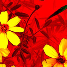 游戏账号购买的黑客软件攻击器手机版