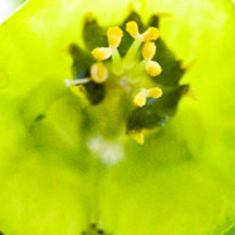 DDOS压力测试网页端